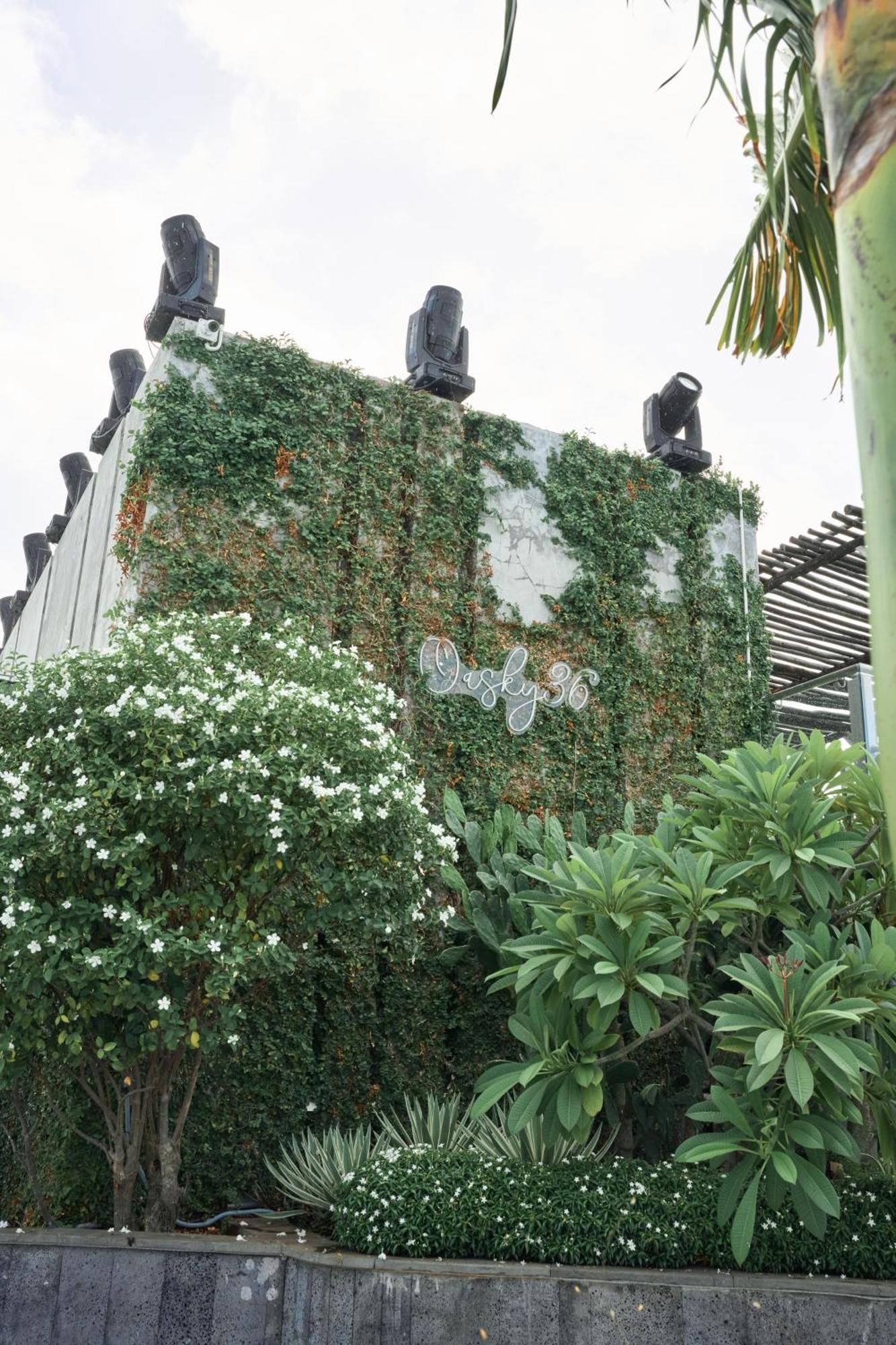 Pooh House 2 - Oasky 3 Bedrooms Apartment Vũng Tàu Ngoại thất bức ảnh